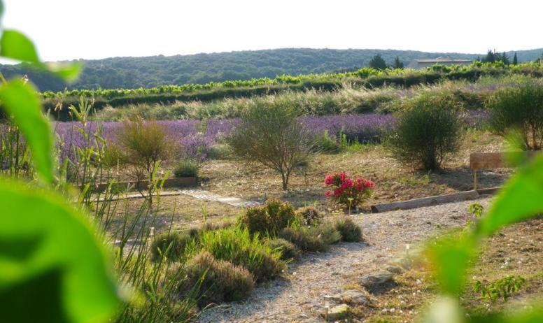 Holiday home Au Mas D'emma