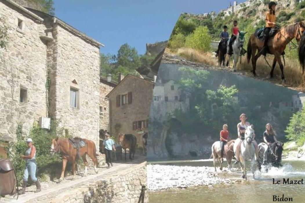 Hébergement de vacances Au Mas D'emma *